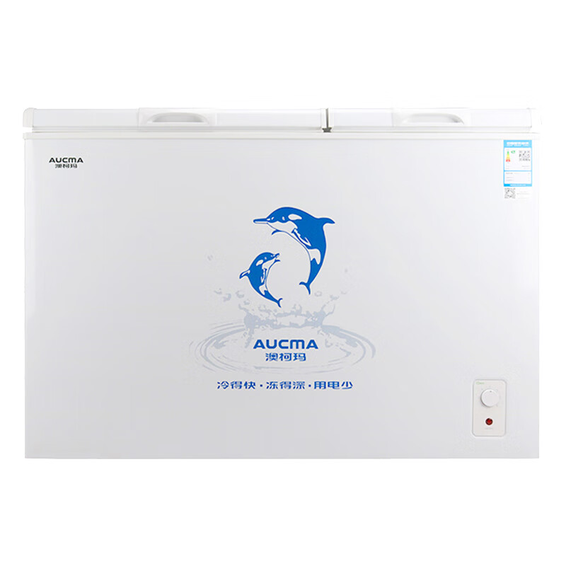 澳柯玛 大容量 冰柜