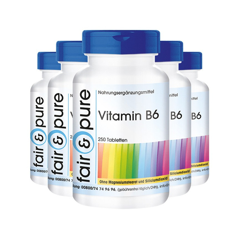 芬蓓尔 进口 维生素B6片