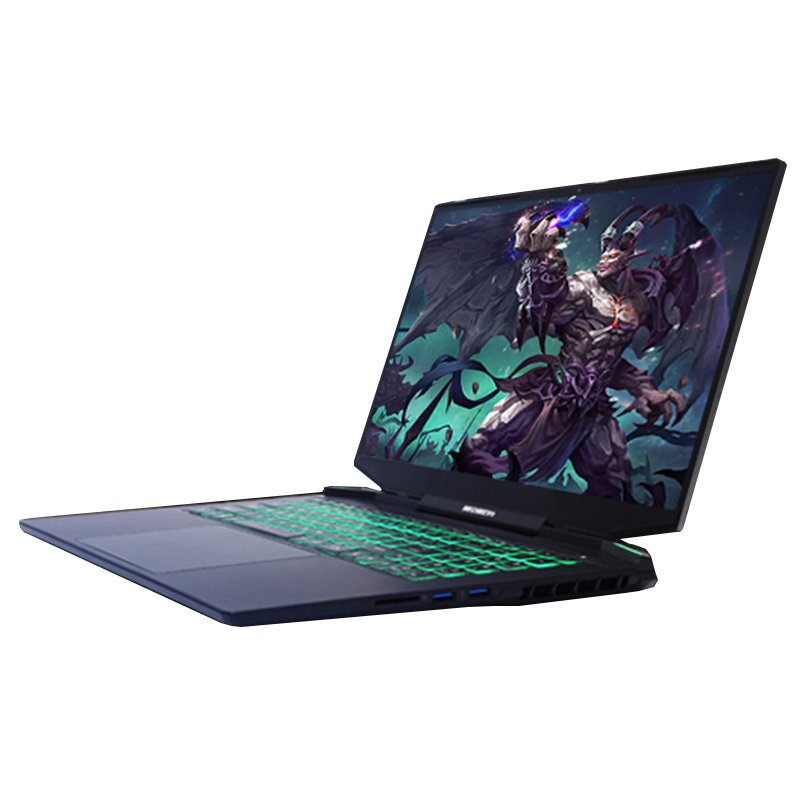 机械革命 大内存游戏本