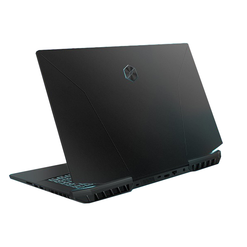 机械革命 165Hz游戏本