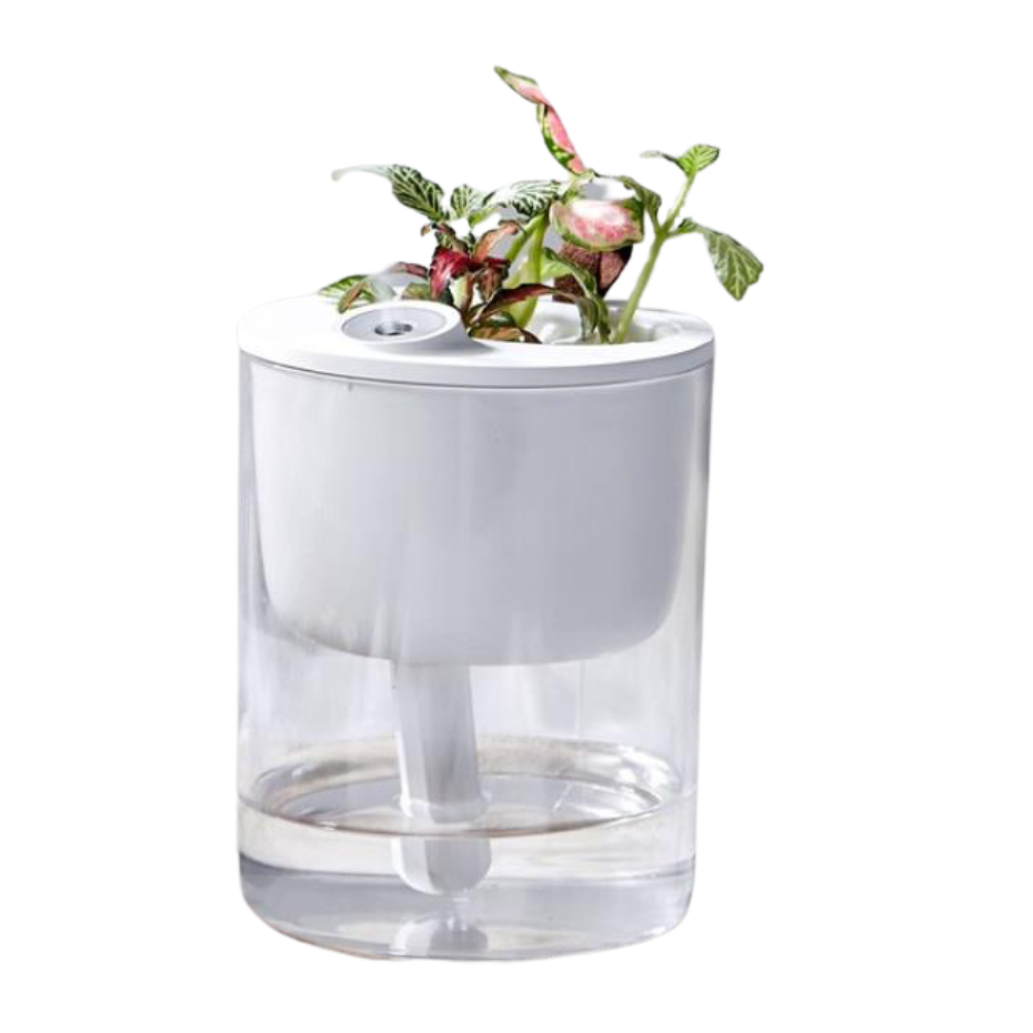 大宇 生态加湿器