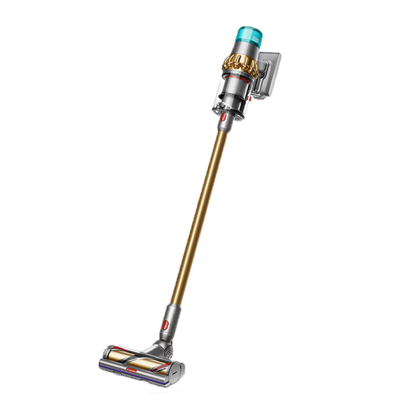 戴森 强劲吸力吸尘器
