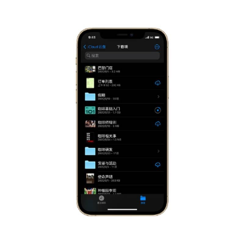 Apple XDR显示屏 手机