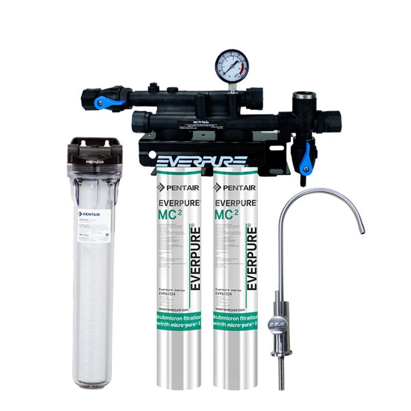 爱惠浦双芯净水器