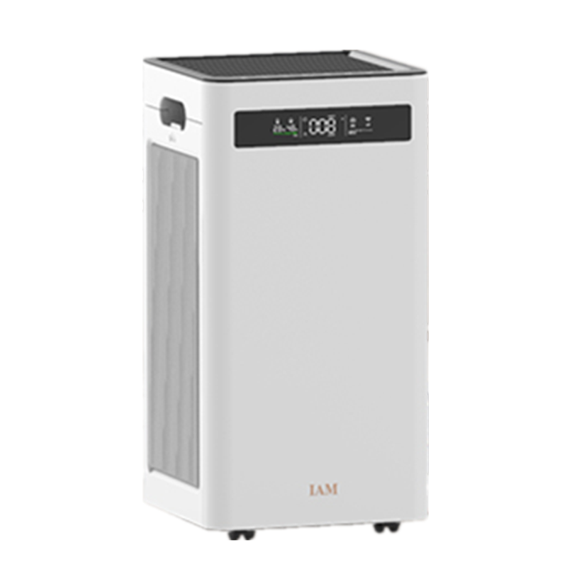 IAM 除甲醛负离子空气净化器