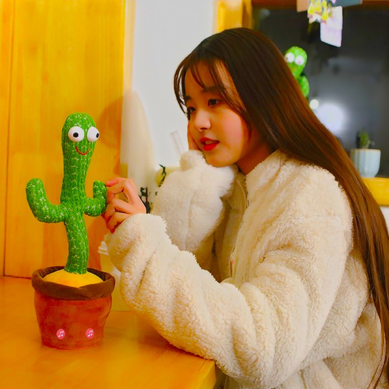 园洲绿 跳舞仙人掌精致礼品