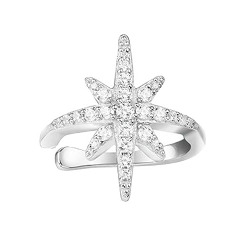 APM 银白色泽 耳夹