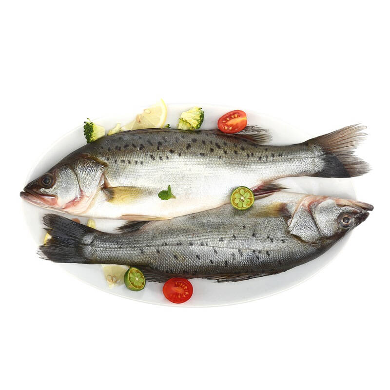 肉质细腻的啤酒酱焖海鲈鱼,品尝海之美味-蓝虎食品