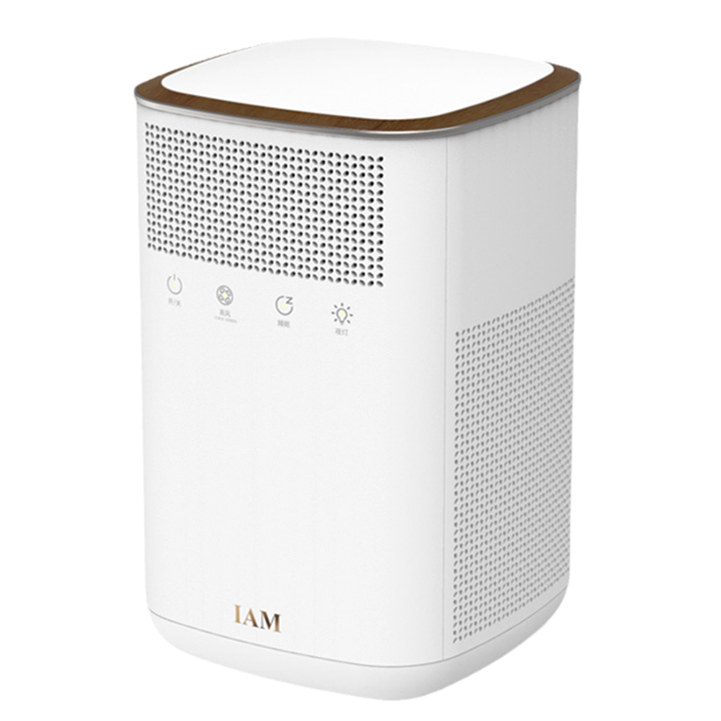 IAM 负离子空气净化器