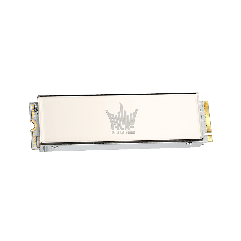 影驰 定制化白色PCB固态硬盘