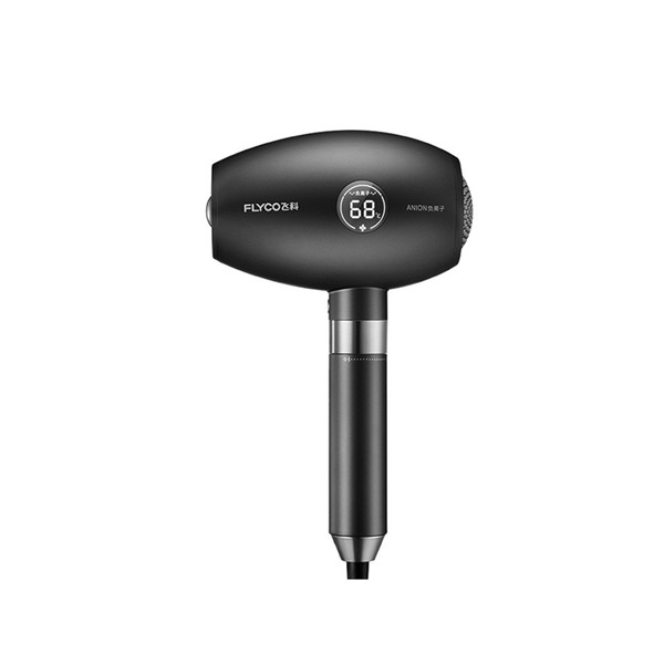飞科 专业护发电吹风