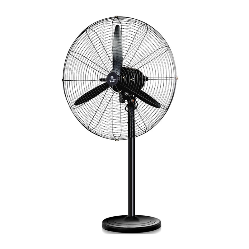 华生 加粗网丝电风扇
