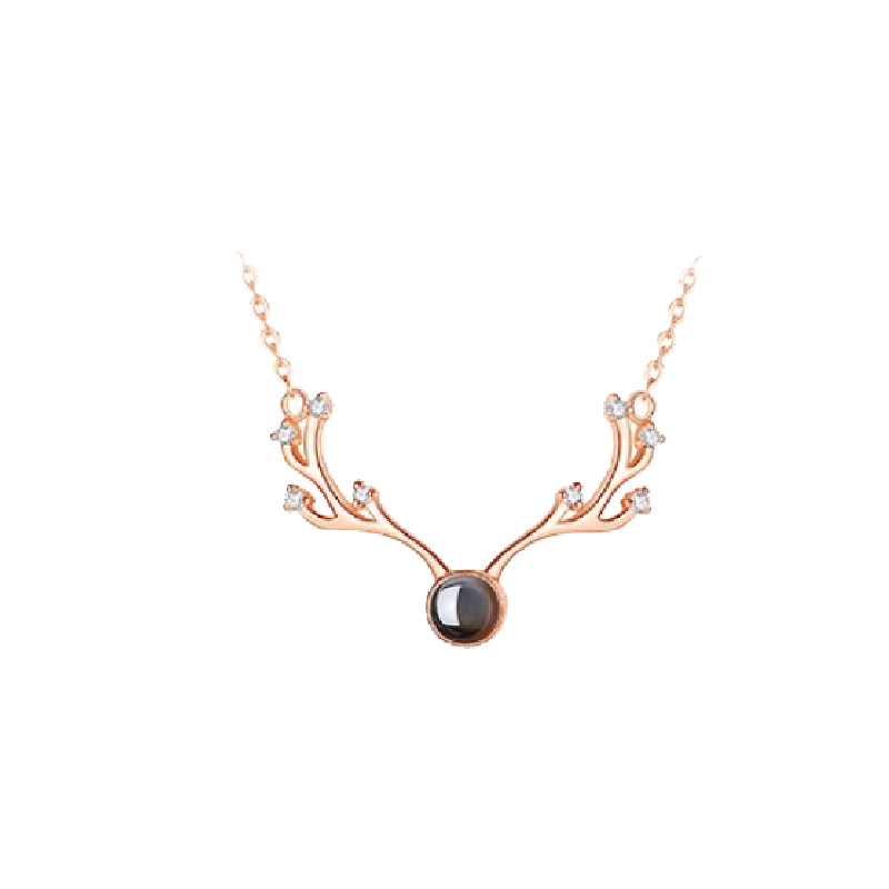 沉鱼落雁纳米微雕项链