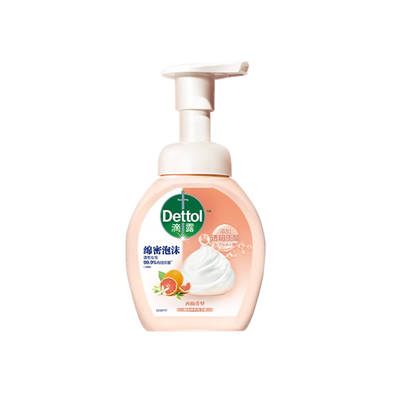 滴露 呵护双手洗手液