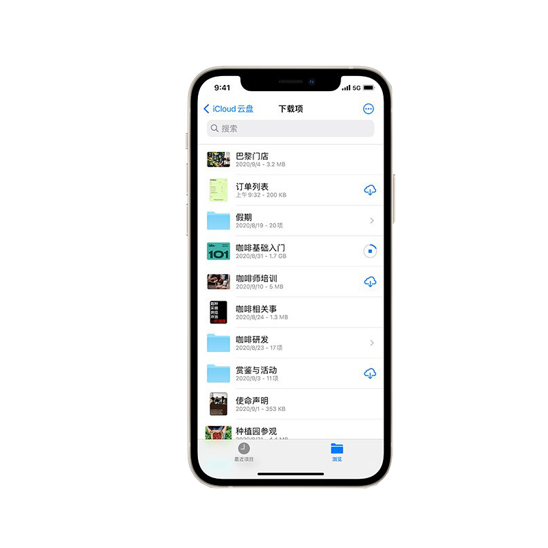 Apple 双摄大屏纤薄手机
