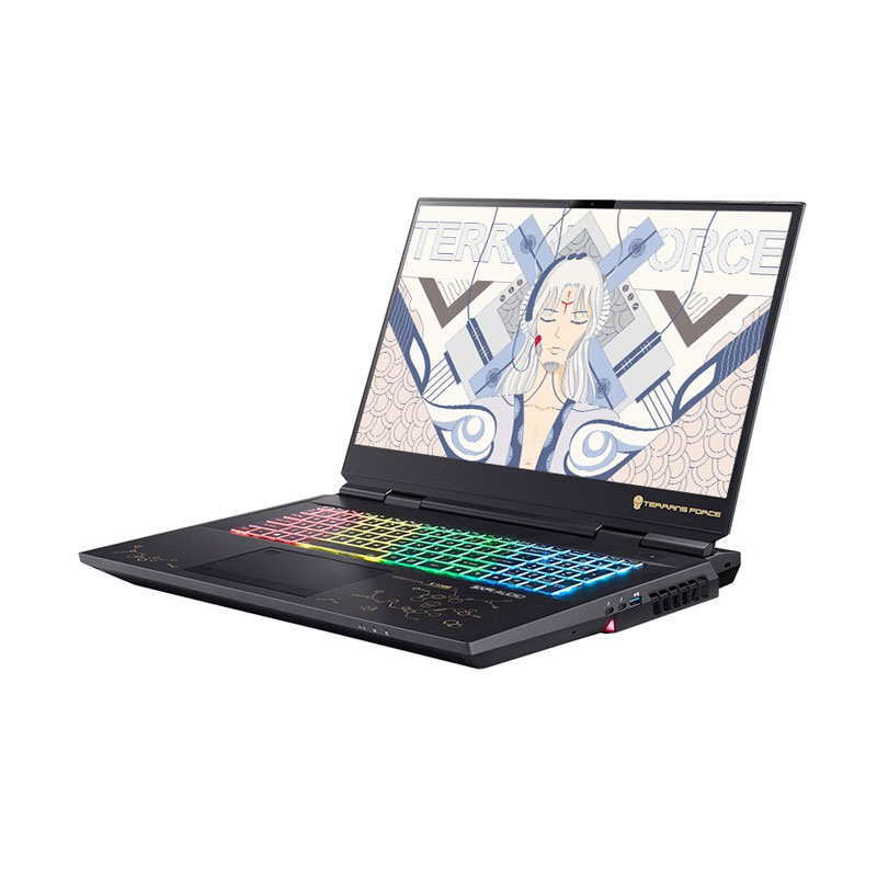 未来人类 17.3英寸 游戏本