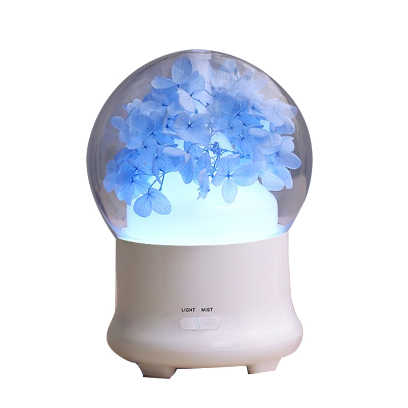 虹之晨 补水喷雾加湿器