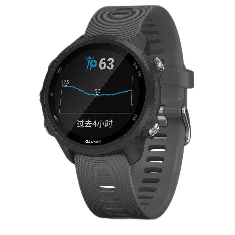 佳明 多种用途智能手表