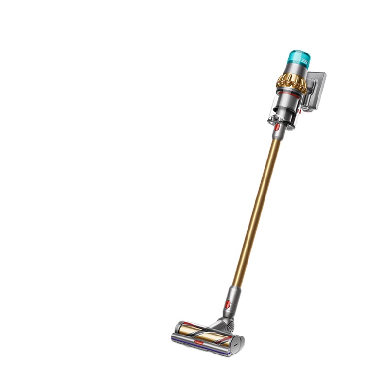 戴森 吸力强劲吸尘器