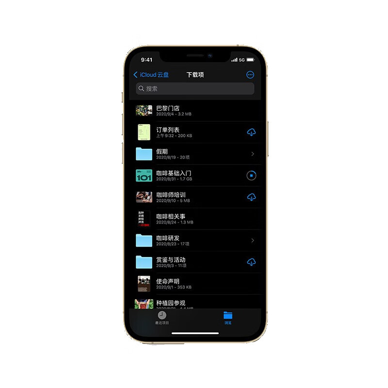 Apple 5G双卡手机