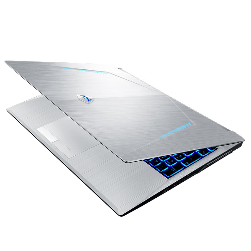 机械师 高速固态全面屏游戏本