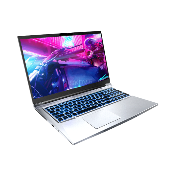 大师之路 DC调光游戏本