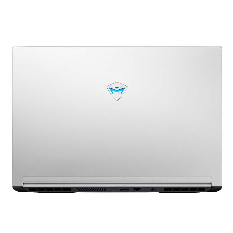 机械师 高清全面屏游戏本电脑