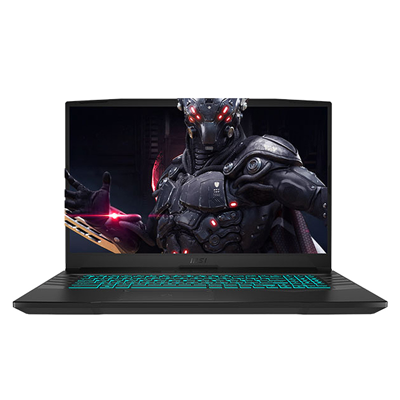 微星 IPS屏幕游戏本