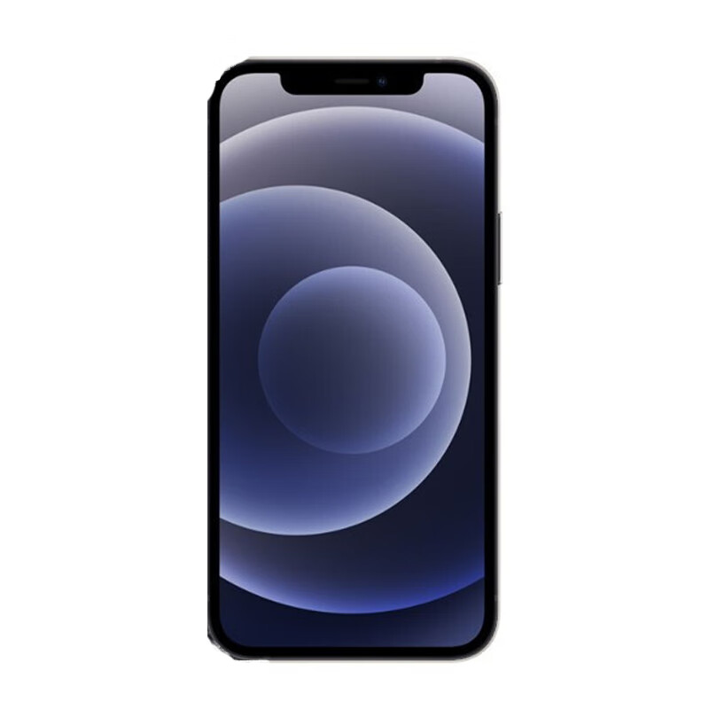 Apple 双卡双待二手手机