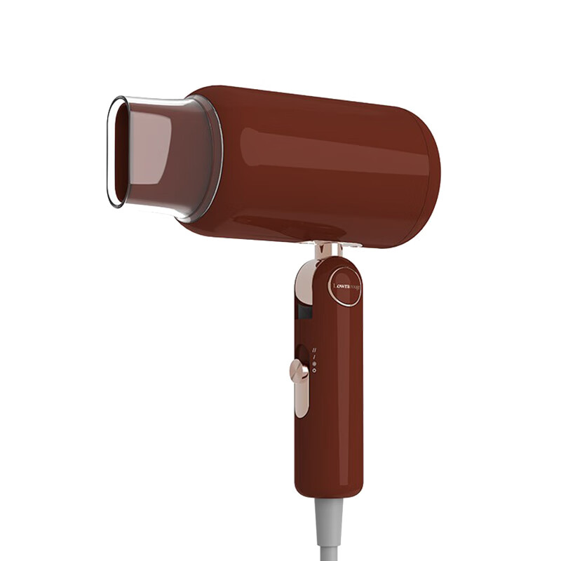 罗拉如炬 健康护发电吹风