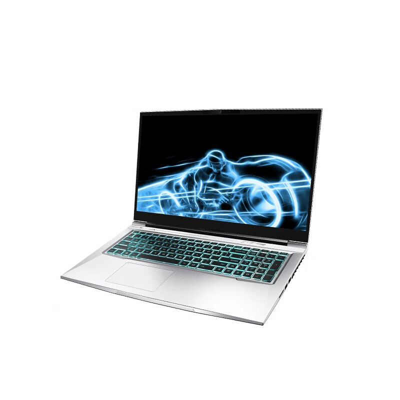 机械革命 高色域游戏本