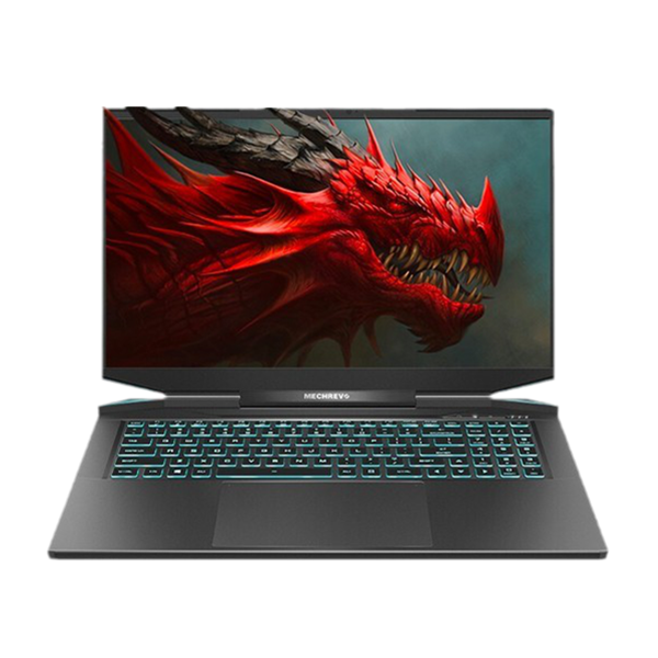 机械革命 17.3英寸游戏本