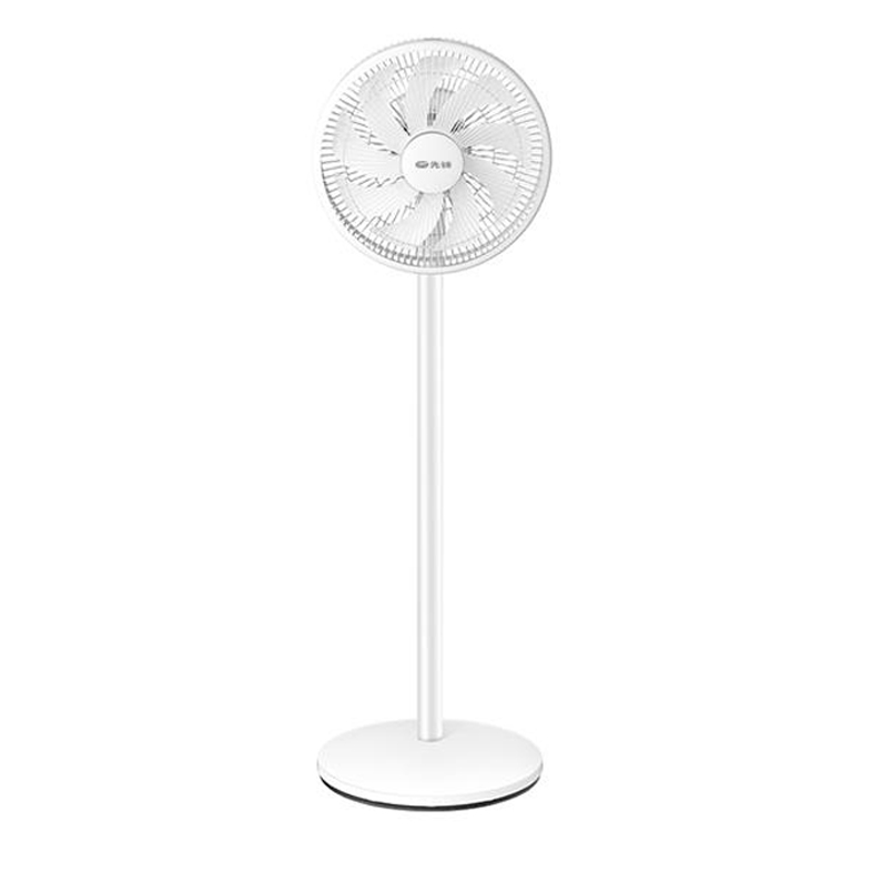 先锋 澎湃风力电风扇