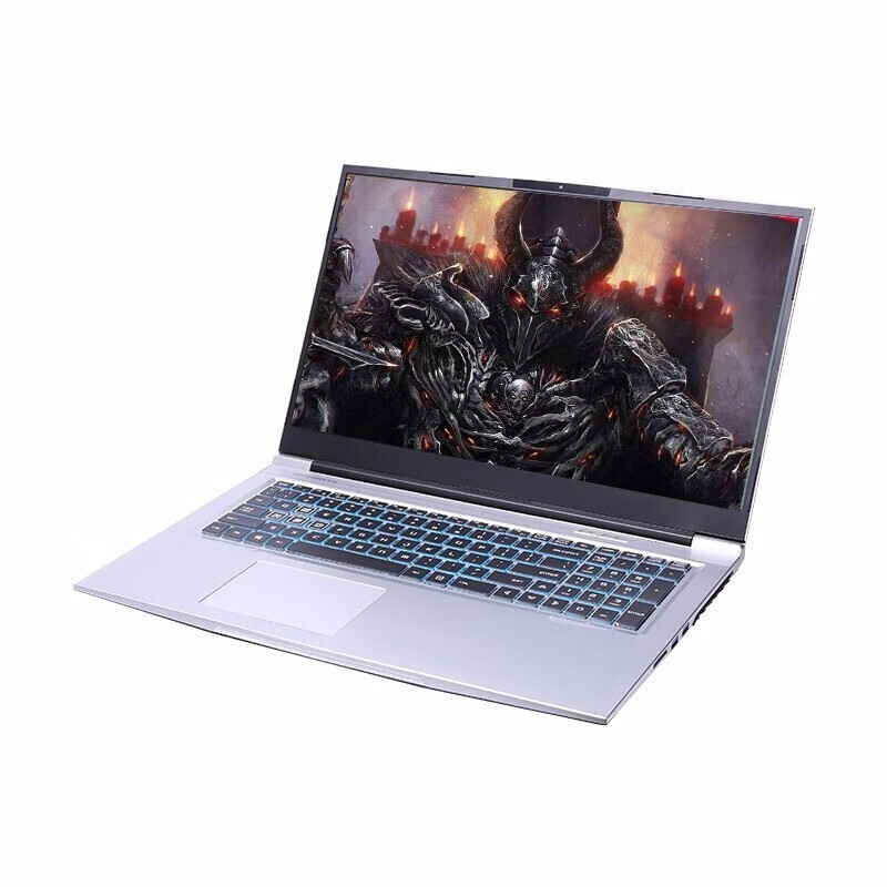 机械革命 大屏窄边框游戏本