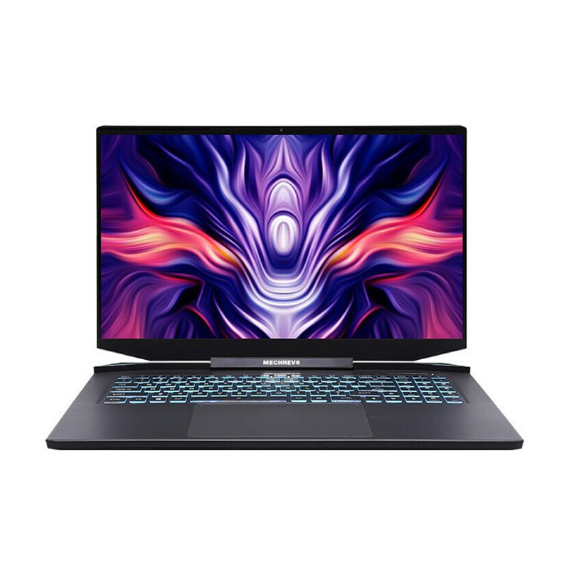 机械革命 千兆网卡 游戏本