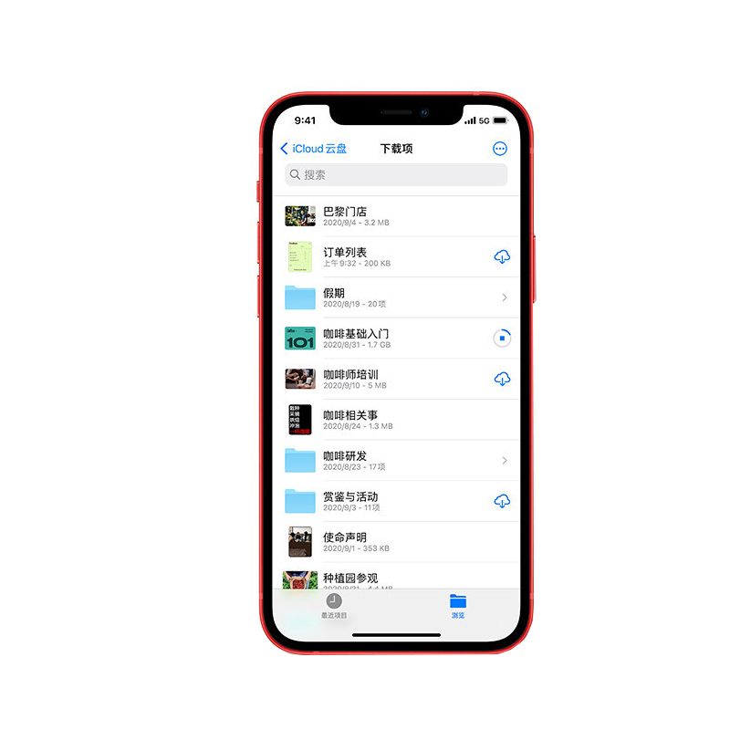 Apple 5G大屏智能手机