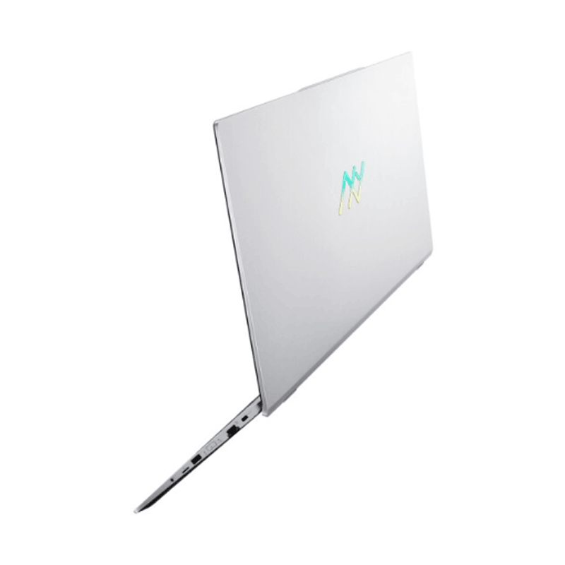 机械师 强悍性能流光 笔记本