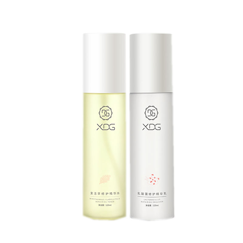 XDG 调节平衡益生菌套装