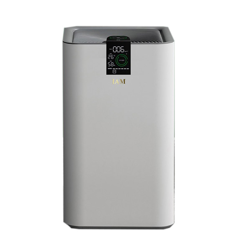 IAM 纤薄机身空气净化器