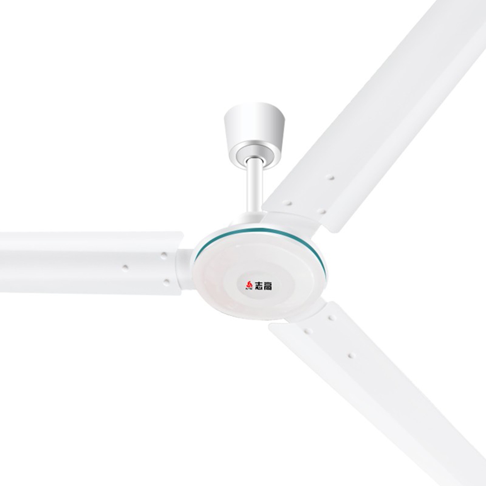 志高 5挡大风量耐用风扇