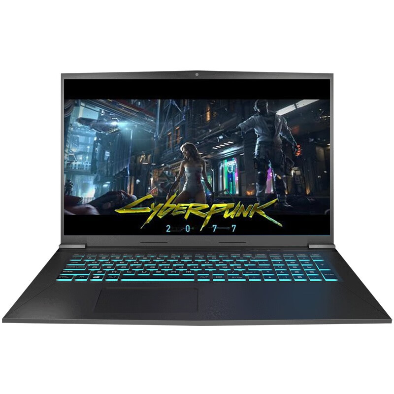 领睿 独显直连 游戏本