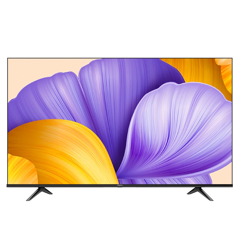 VIDAA 智慧语音 平板电视