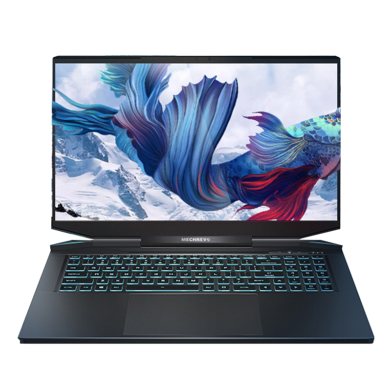 机械革命 高刷显示屏游戏本