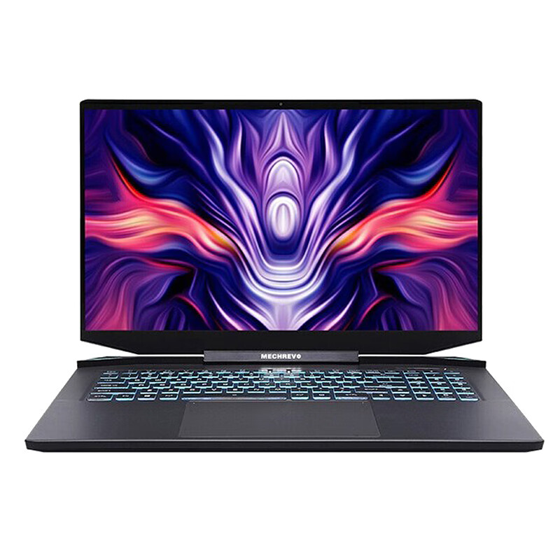 机械革命 2K电竞屏游戏本