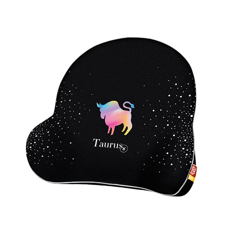 GiGi 竹炭记忆棉腰靠