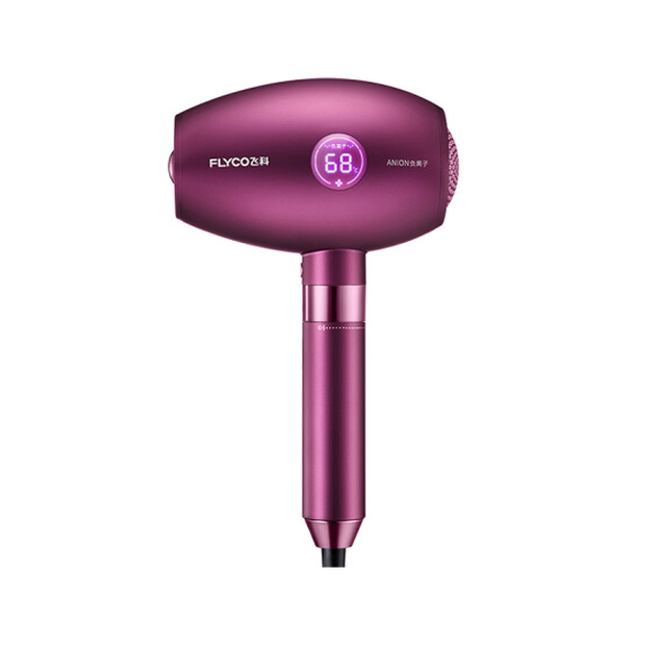 飞科 运行静音护发 电吹风