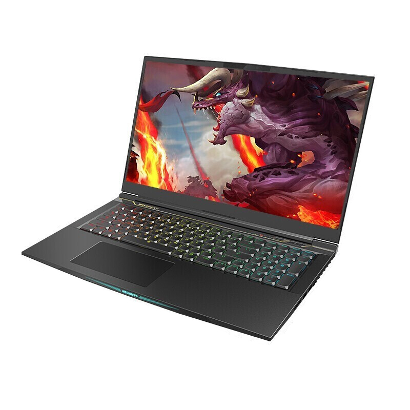 机械革命 人脸识别游戏本