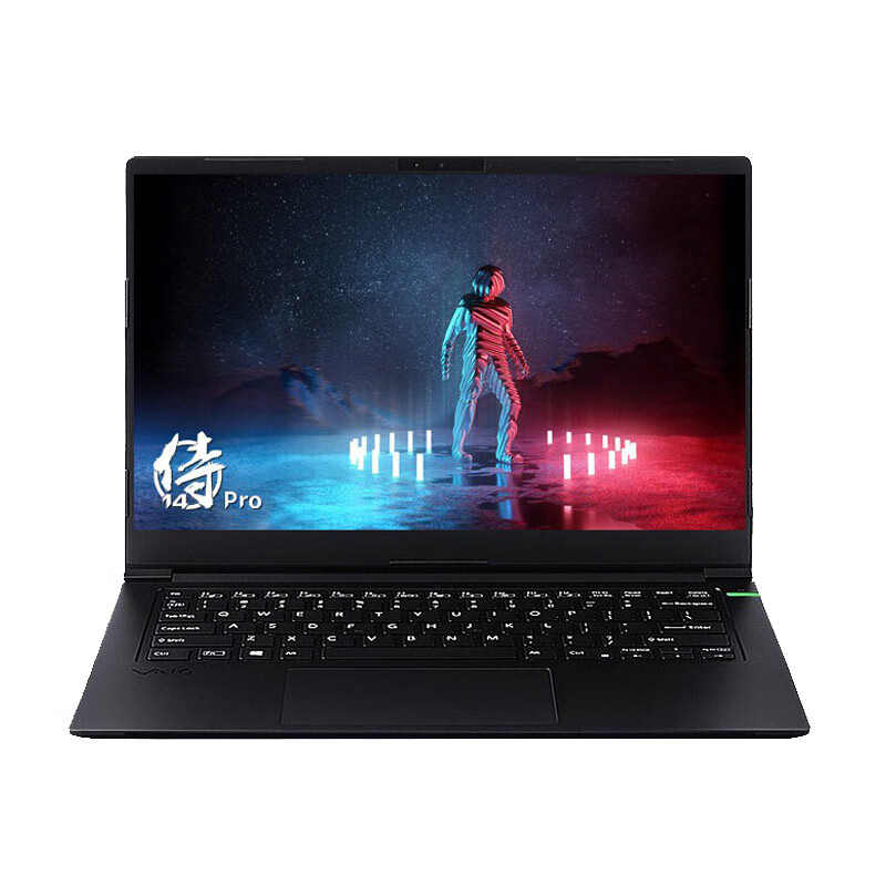 VAIO 斑斓黑色笔记本