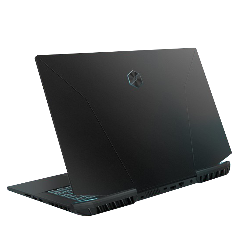 机械革命 大内存锐龙游戏本