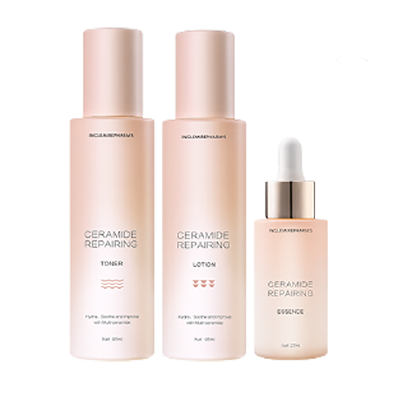 英树 易于吸收礼盒